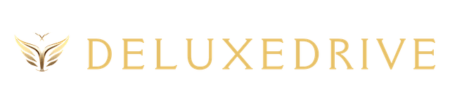 DeluxeDrive